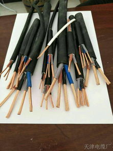 djfpvp22 2 2 1.5計(jì)算機(jī)電纜 djfpvp22 2 2 1.5計(jì)算機(jī)電纜